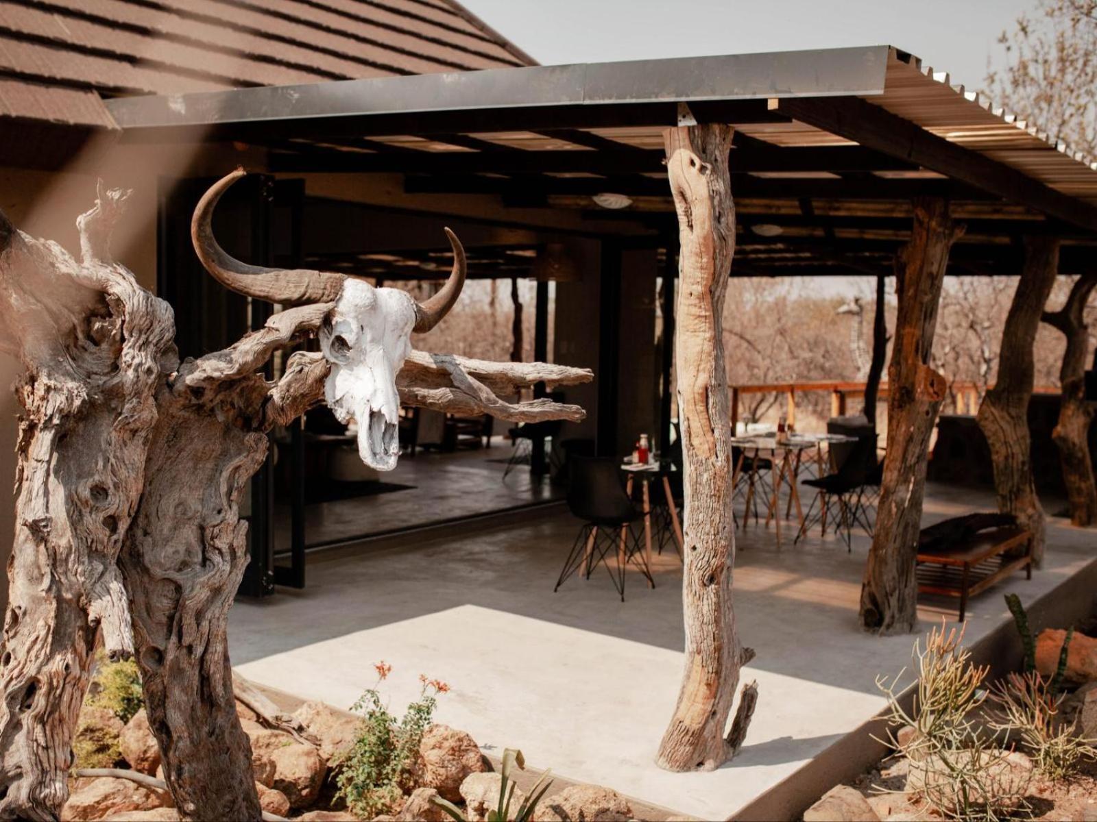 Maroelani Lodge- Greater Kruger Private Reserve Hoedspruit Exterior photo